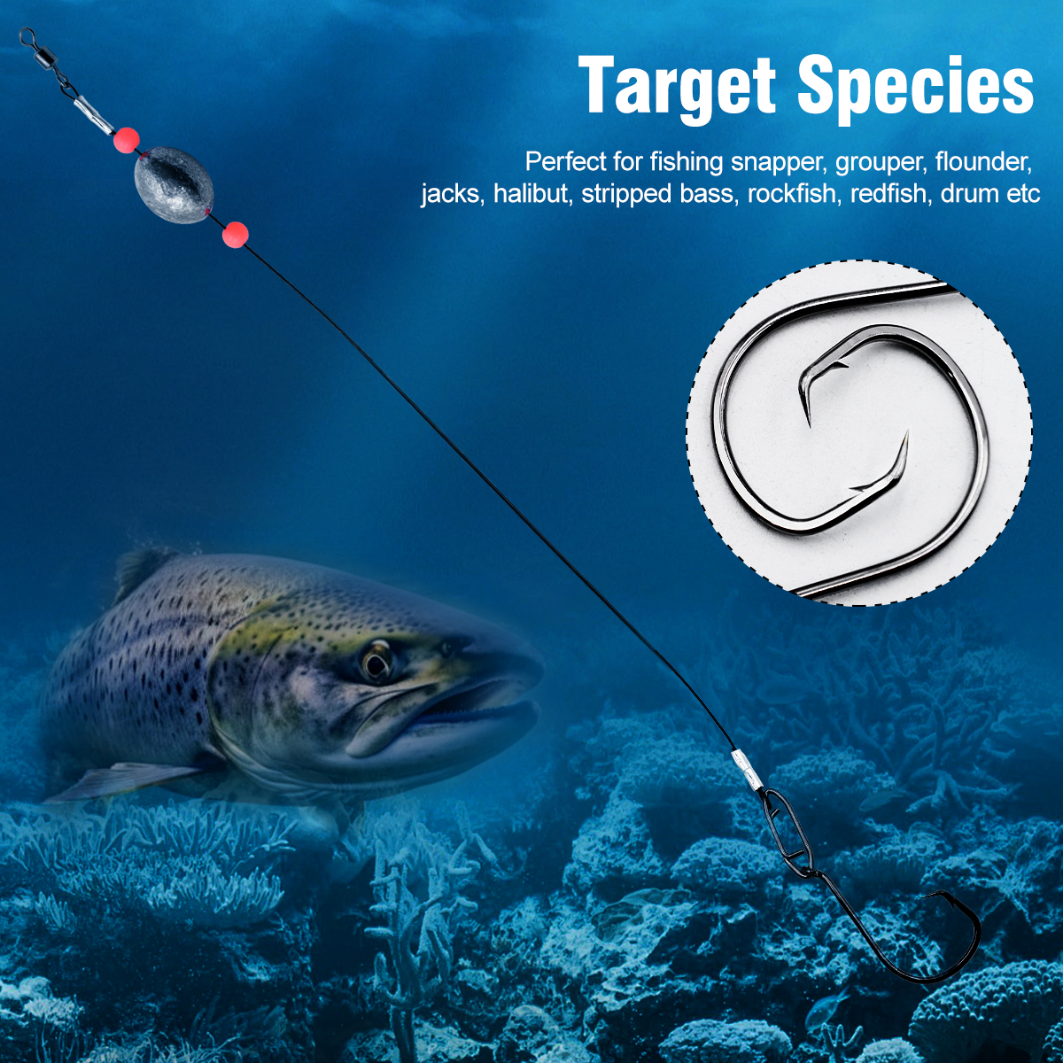 ZYZHE 2pcs Fishing Carolina Ri - Fishing Hook Circle incelemesi ve fiyatı