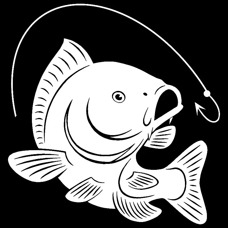 Carp Fishing Hook Decal Decora - Fishing Hook incelemesi ve fiyatı